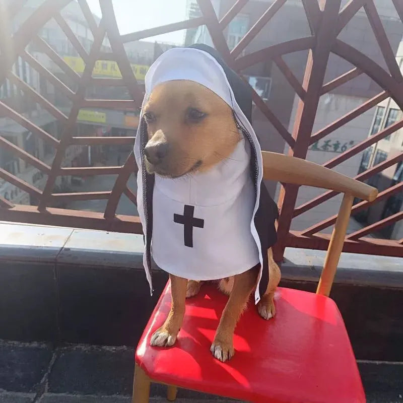 Black and white nun costume cloak on a small dog, showing the pullover design.