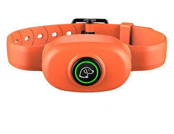 Black rechargeable remote-controlled dog training collar with handheld transmitter.