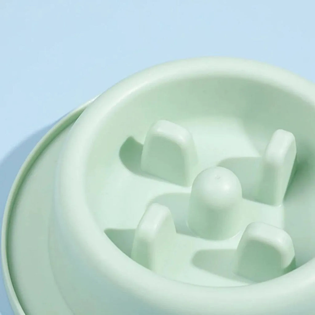 PP plastic pet slow feeder bowl in blue, green, or pink with maze design and non-slip base
