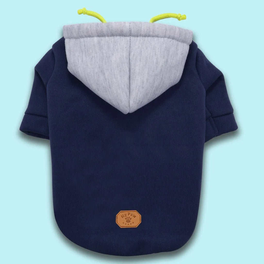 Dark red hooded dog pullover with contrast trim on a canine model