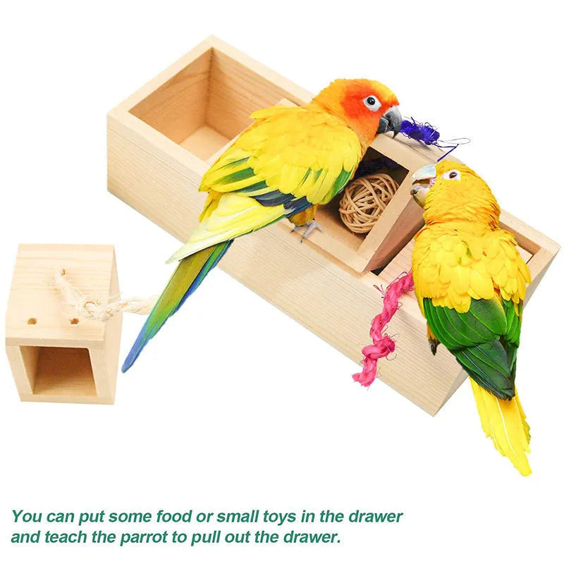 Wooden parrot puzzle training toy set for bird enrichment activities