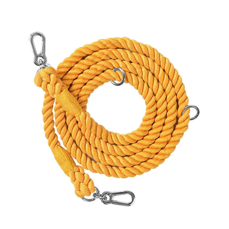Woven rainbow coloured dog leash with clips at both ends, shown in a choice of colours with silver or gold fittings.