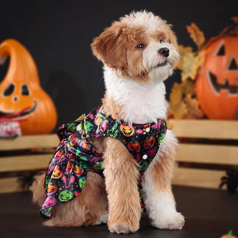 Halloween dog costume with angel wings in bright pumpkin colour, size medium.