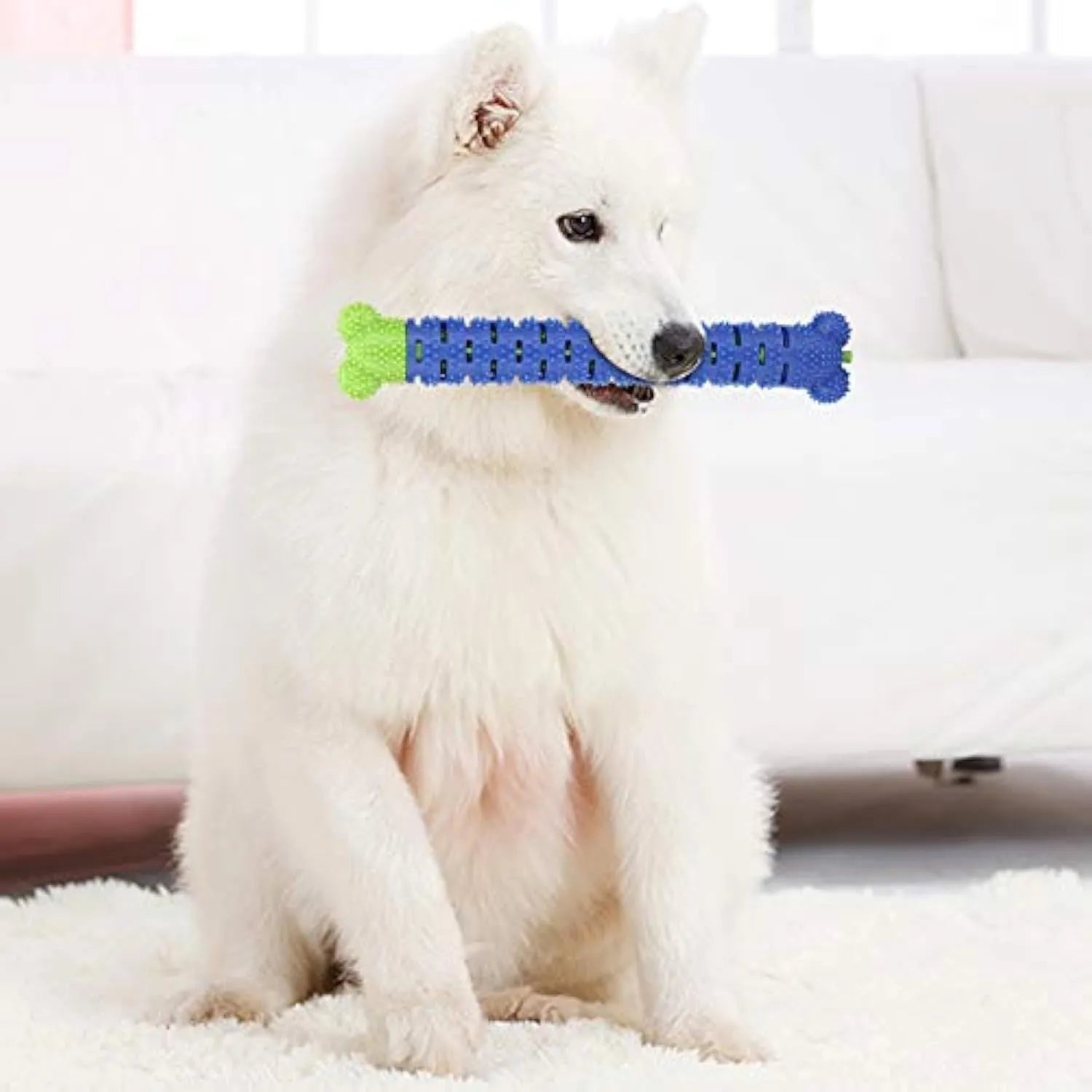 A blue-green silicone dog dental chewing stick with a textured brush head and nodules, showing its 25cm length.