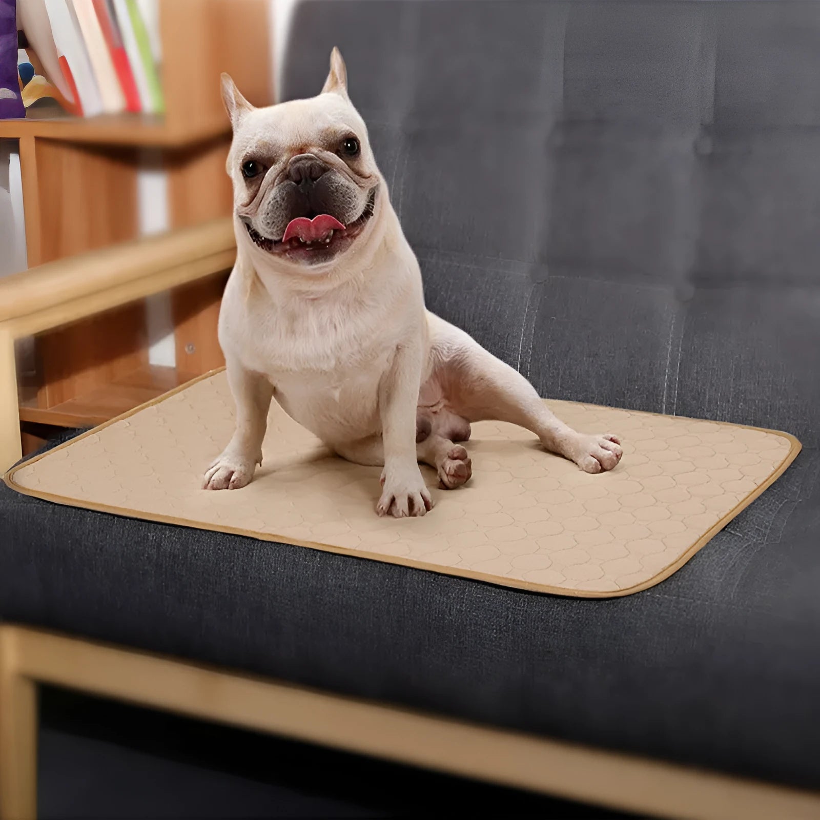 Reusable dog urine pad in beige with non-slip bottom and TPU waterproof layer, machine washable