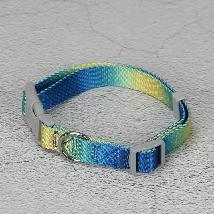 Gradient colour dog leash set showing nylon collar, harness, and matching lead in pink and yellow combination