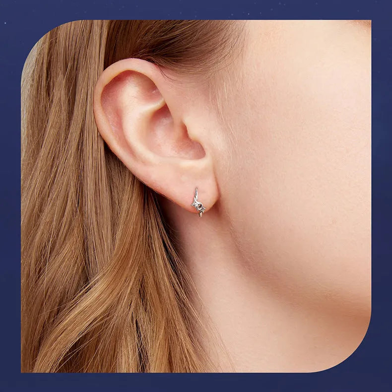Fashion Star S925 sterling silver earrings with inlaid zircon, colour BSE1210, pair of earrings for women