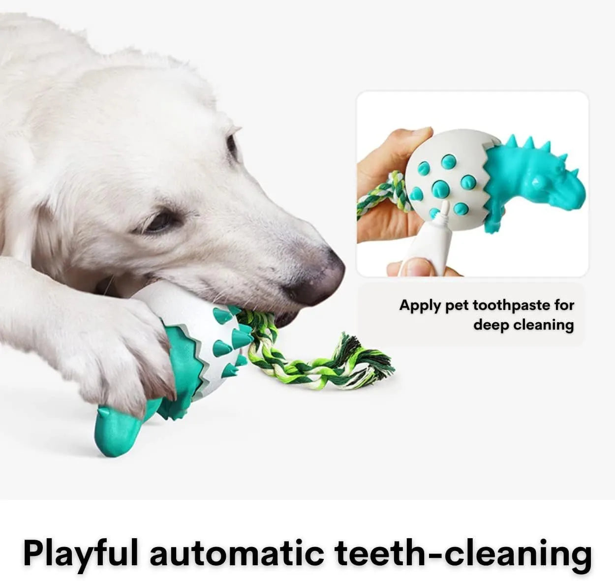 Blue dinosaur-shaped dog chew toy with textured nubs and an attached rope for aggressive chewers.