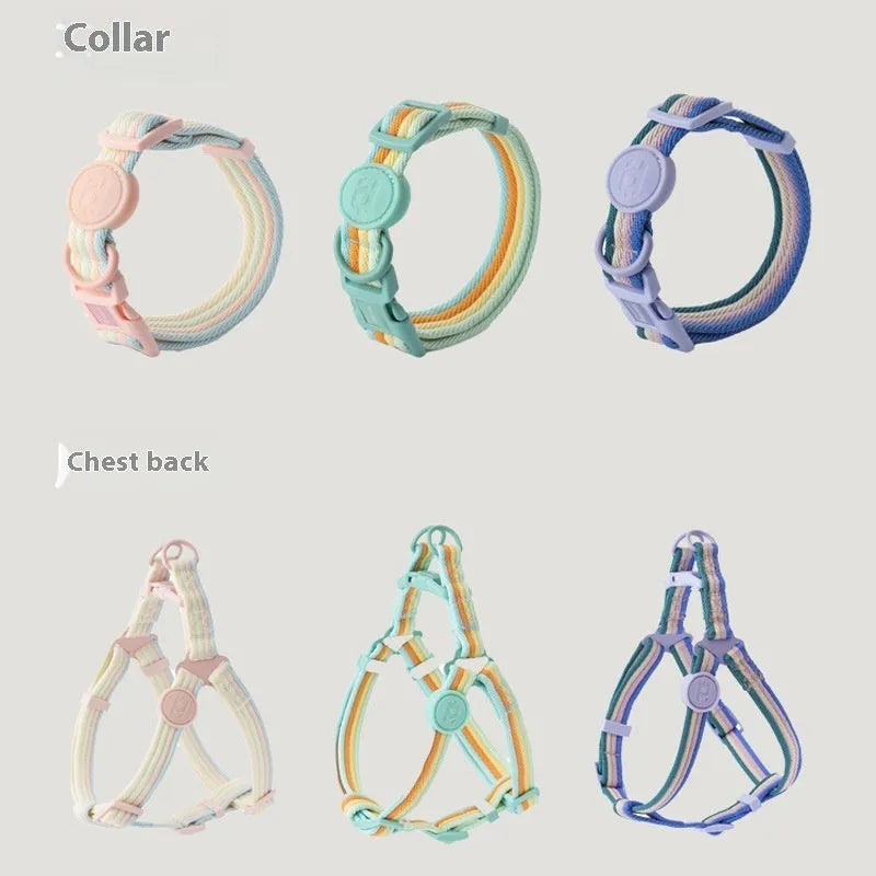 Retro record pattern dog collar and hand holding rope set for small medium dogs in various colours