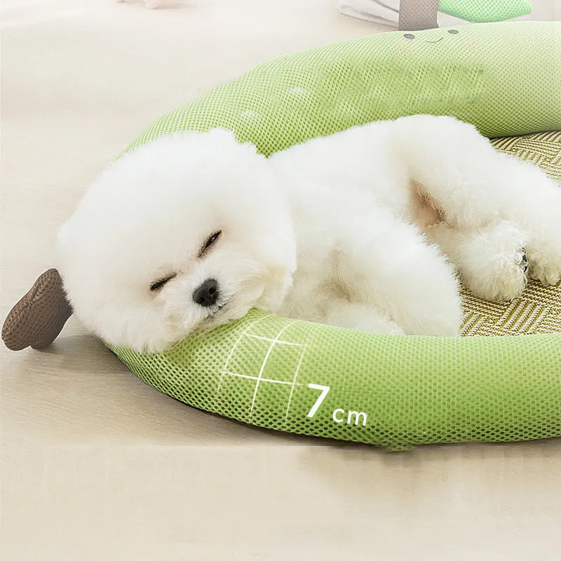 Fruit backrest pet nest for cats and dogs in green colour showing structured design