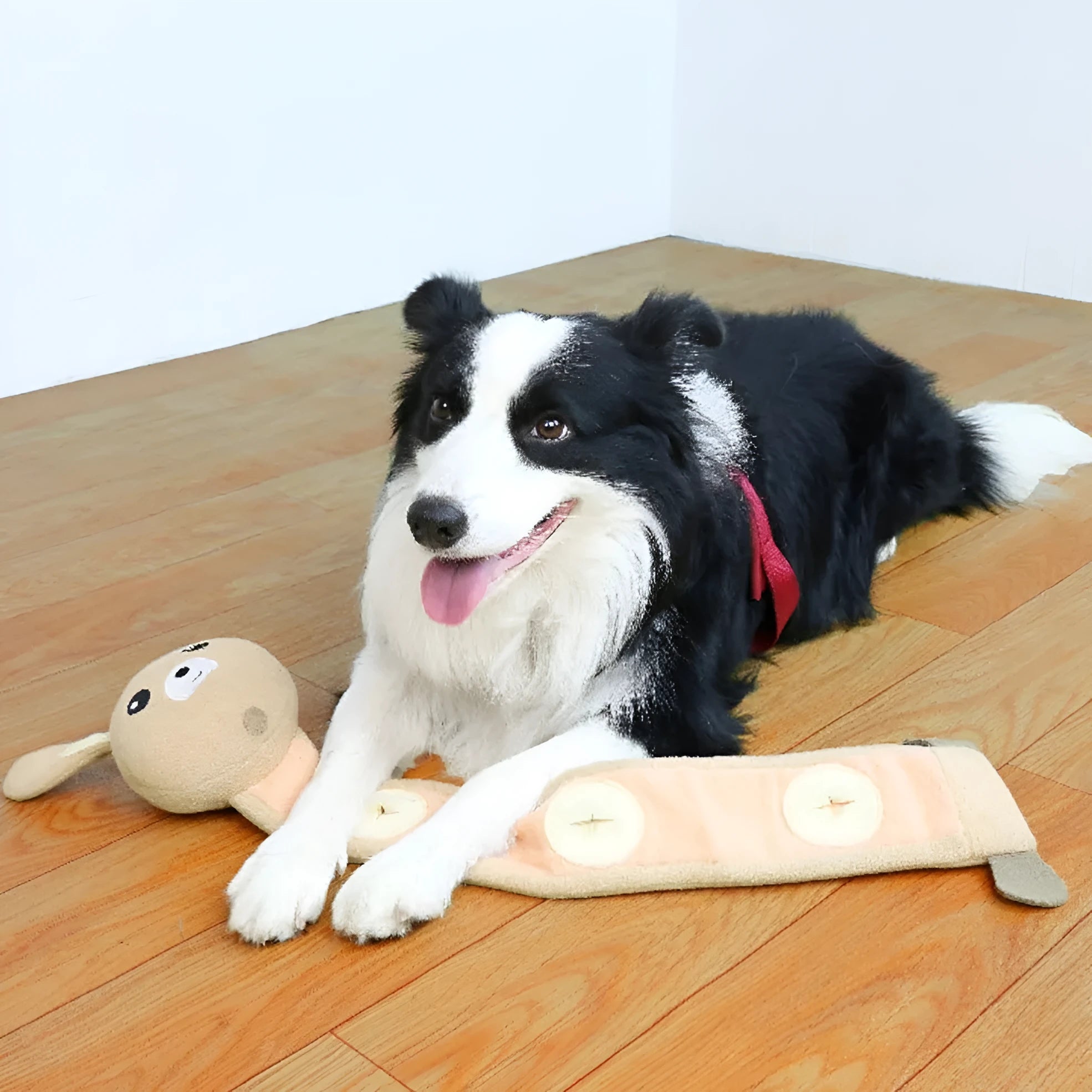 65cm plush dog training toy in poached bunny colour with food hiding compartments