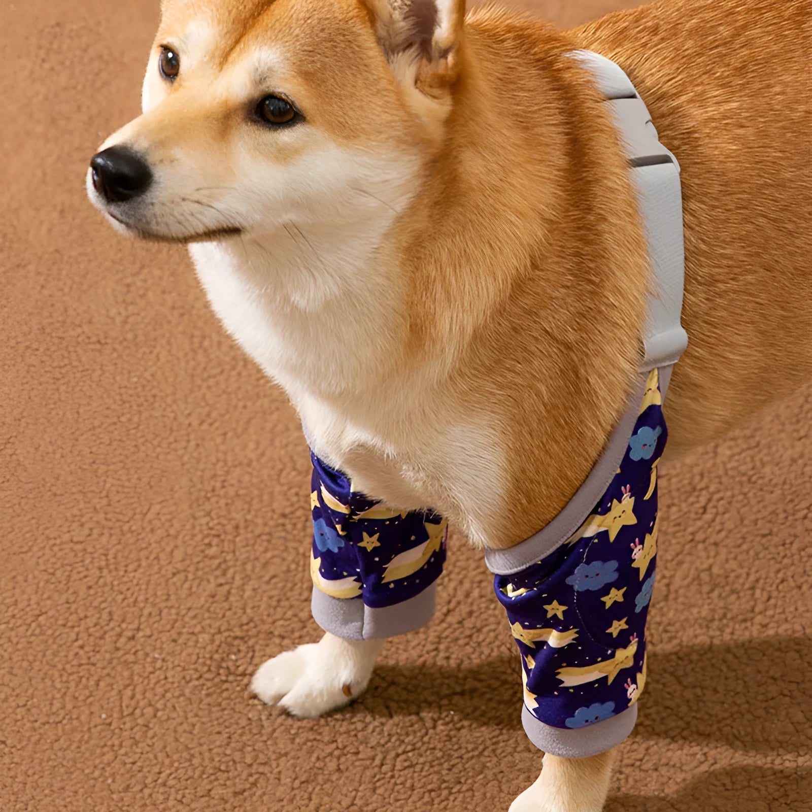 Pet knee pad anti-dirty joint protective cover in polyester for dogs, blue colour, on a dog's leg
