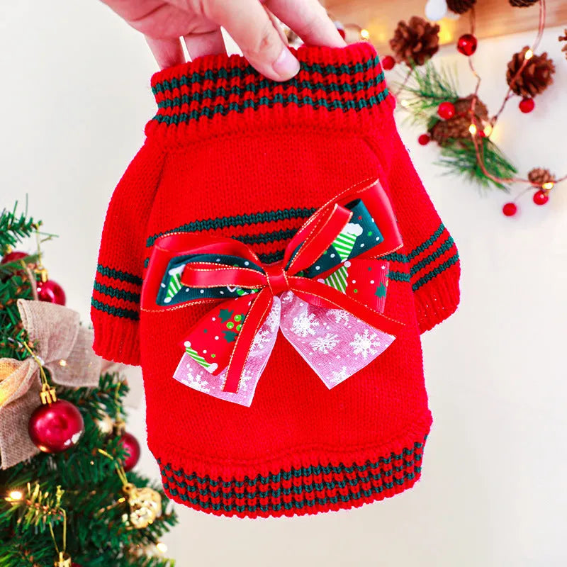 Dog wearing Christmas jumper in red colour, seasonal pet clothing for holiday photos