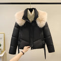 Women's short thick cotton-padded jacket with stand-up collar in claret, brown, black, and white colour options.