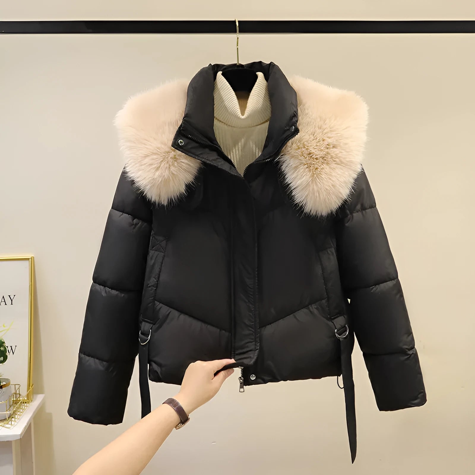 Women's short thick cotton-padded jacket with stand-up collar in claret, brown, black, and white colour options.