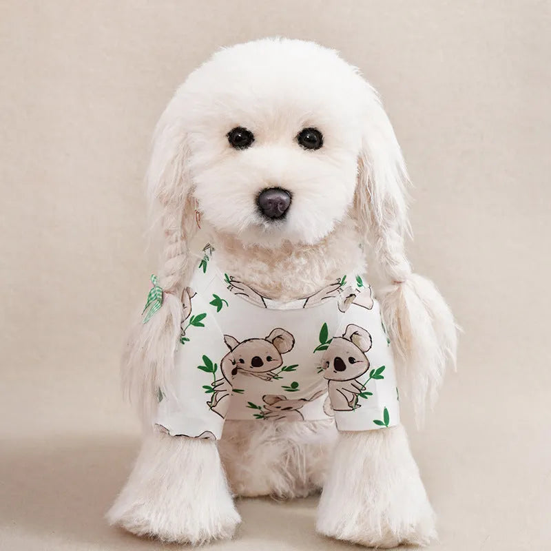 Small dog wearing a colourful printed polyester t-shirt for casual spring or autumn weather.