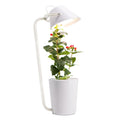 White plastic desktop hydroponic container for soilless plant cultivation.