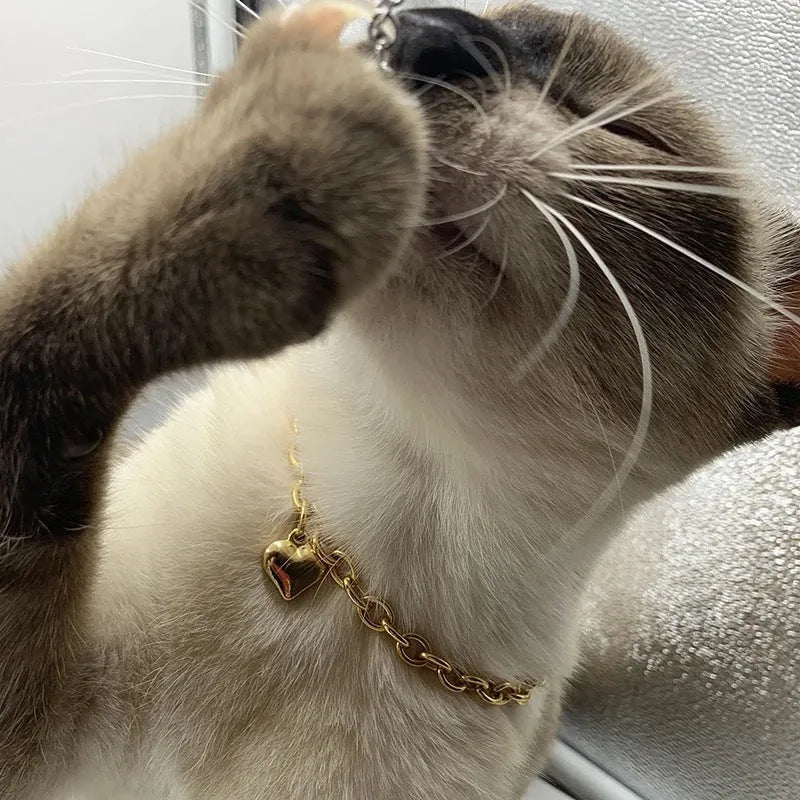 Stainless steel pet pendant necklace with love heart charm on curb chain in gold or silver finish