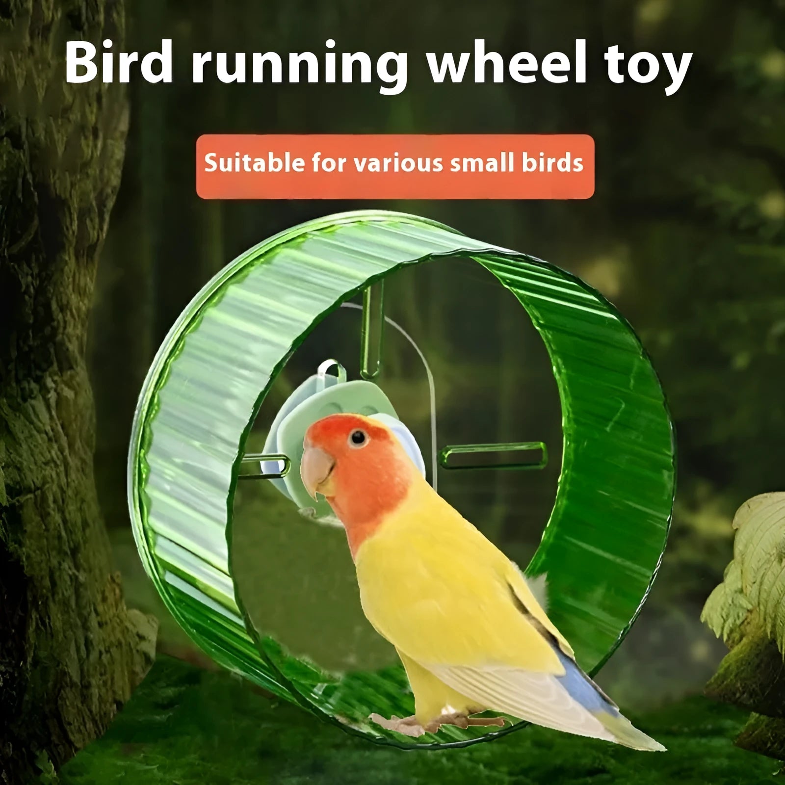 A transparent plastic running wheel toy for parrots, shown next to green and purple colour options.