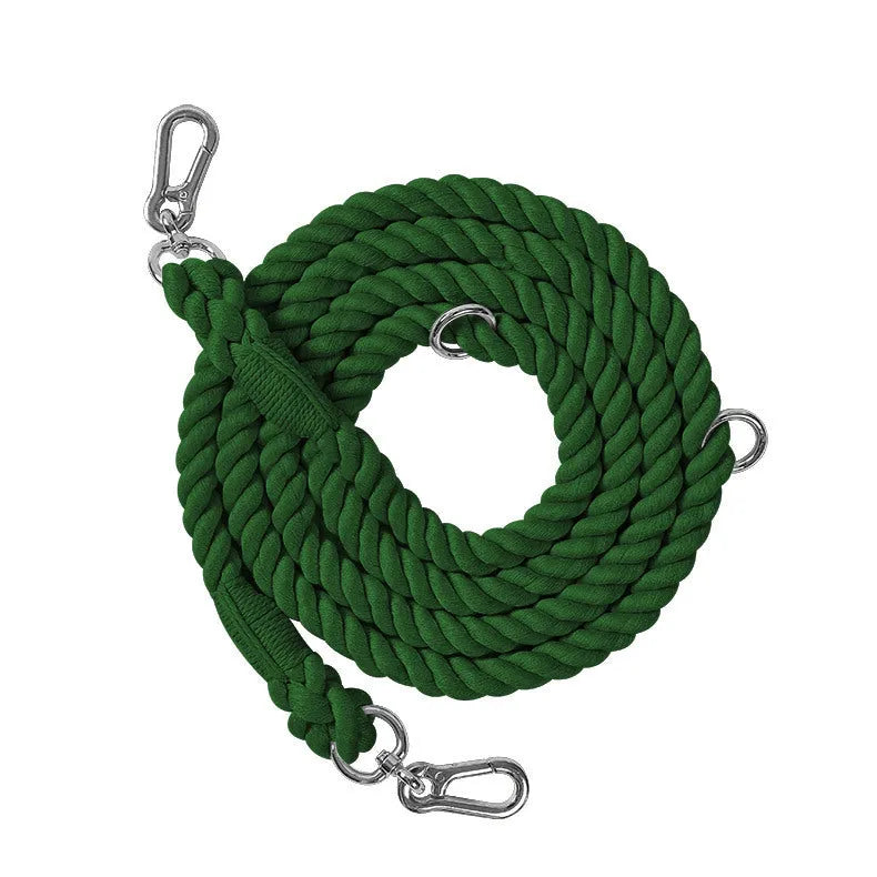 Woven rainbow coloured dog leash with clips at both ends, shown in a choice of colours with silver or gold fittings.