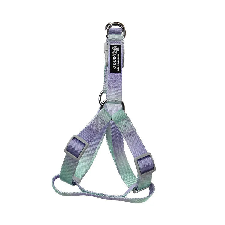 Gradient colour dog leash set showing nylon collar, harness, and matching lead in pink and yellow combination