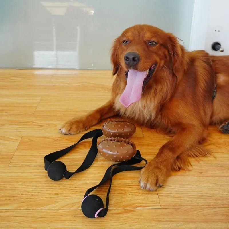 Coffee-brown TPR dog toy shaped like a bean with attached rope knot for dental cleaning and slow feeding.