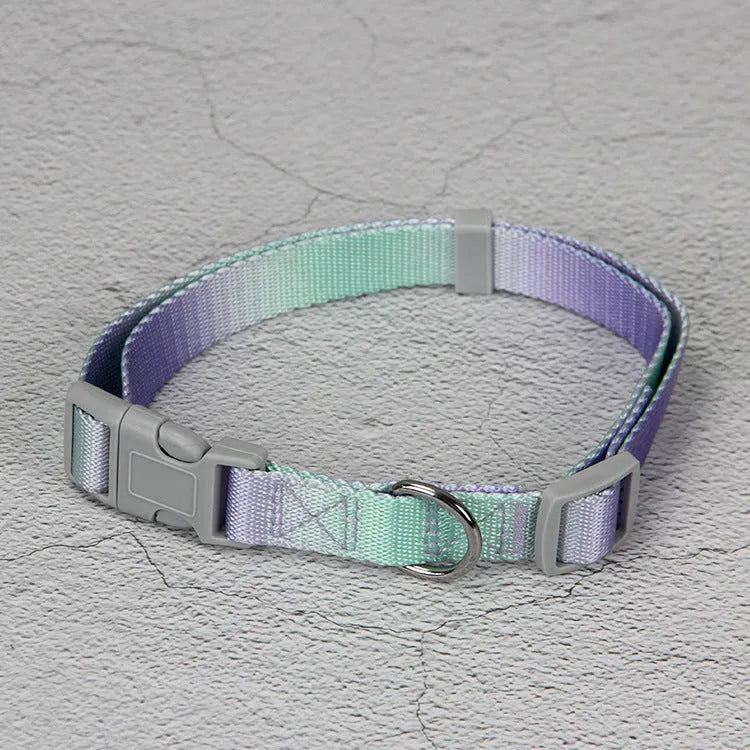 Gradient colour dog leash set showing nylon collar, harness, and matching lead in pink and yellow combination