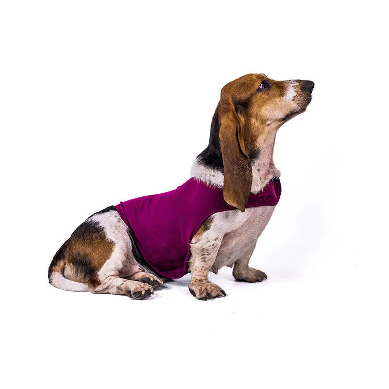 Acrylic anxiety jacket vest for cats in rose red, with size labels showing bust, neck, and back measurements