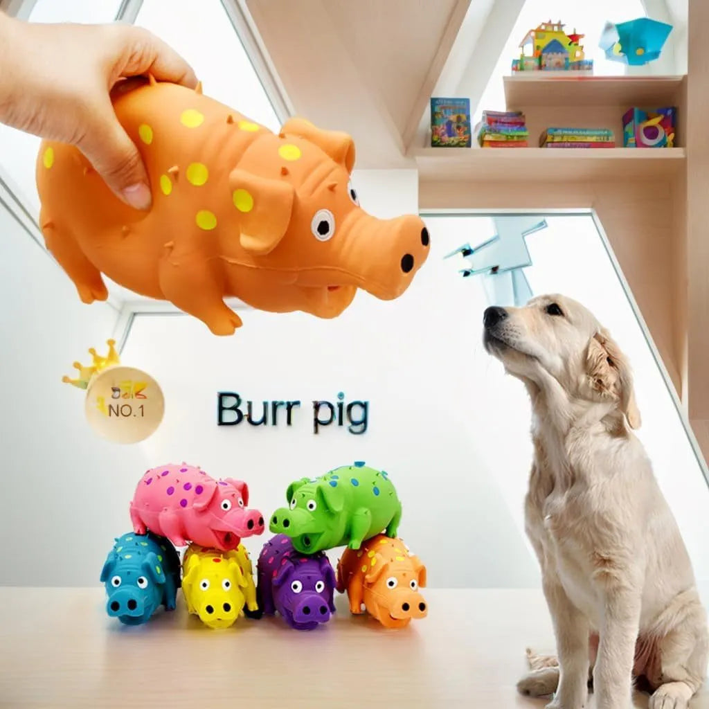 Blue latex pig-shaped dog chew toy with textured surface and squeaker on a wooden floor.