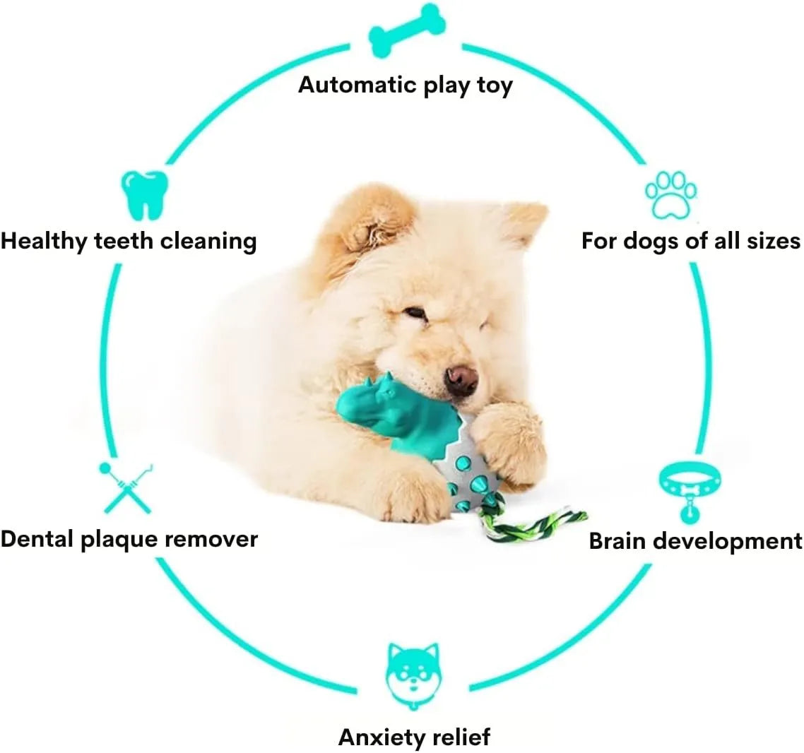 Blue dinosaur-shaped dog chew toy with textured nubs and an attached rope for aggressive chewers.