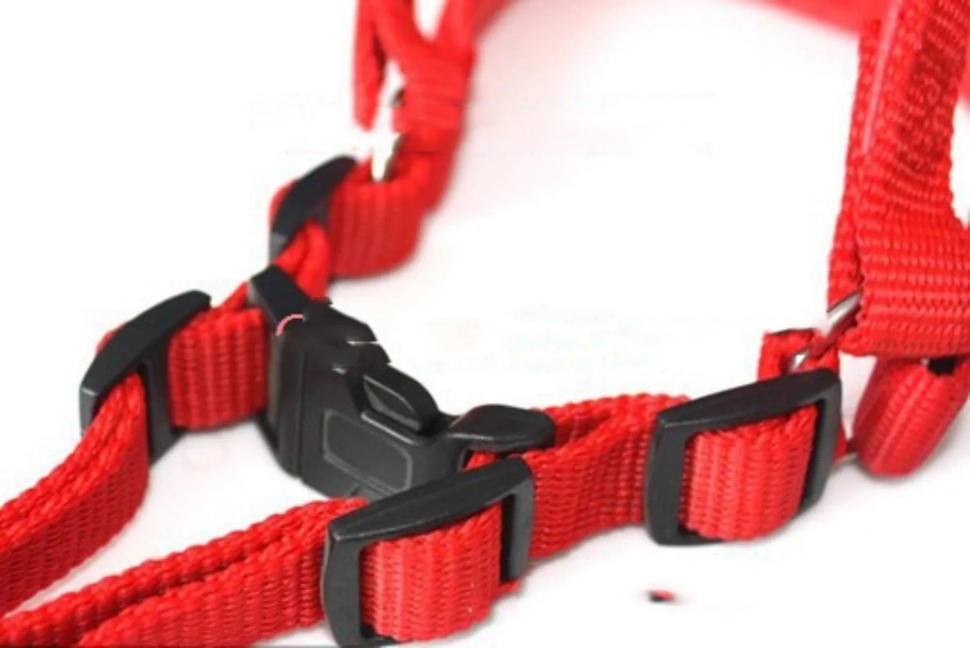 Blue adjustable dog harness with foam lining and nylon chest strap for walking control