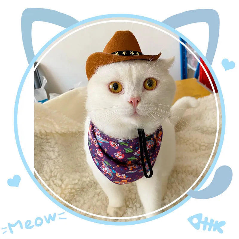 Brown British cowboy hat for a cat on a white background with a black ribbon trim.