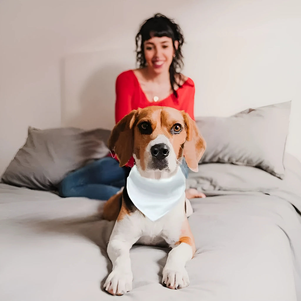 Blank white polyester dog scarf shown flat with dimensions for four size options available for thermal transfer customisation