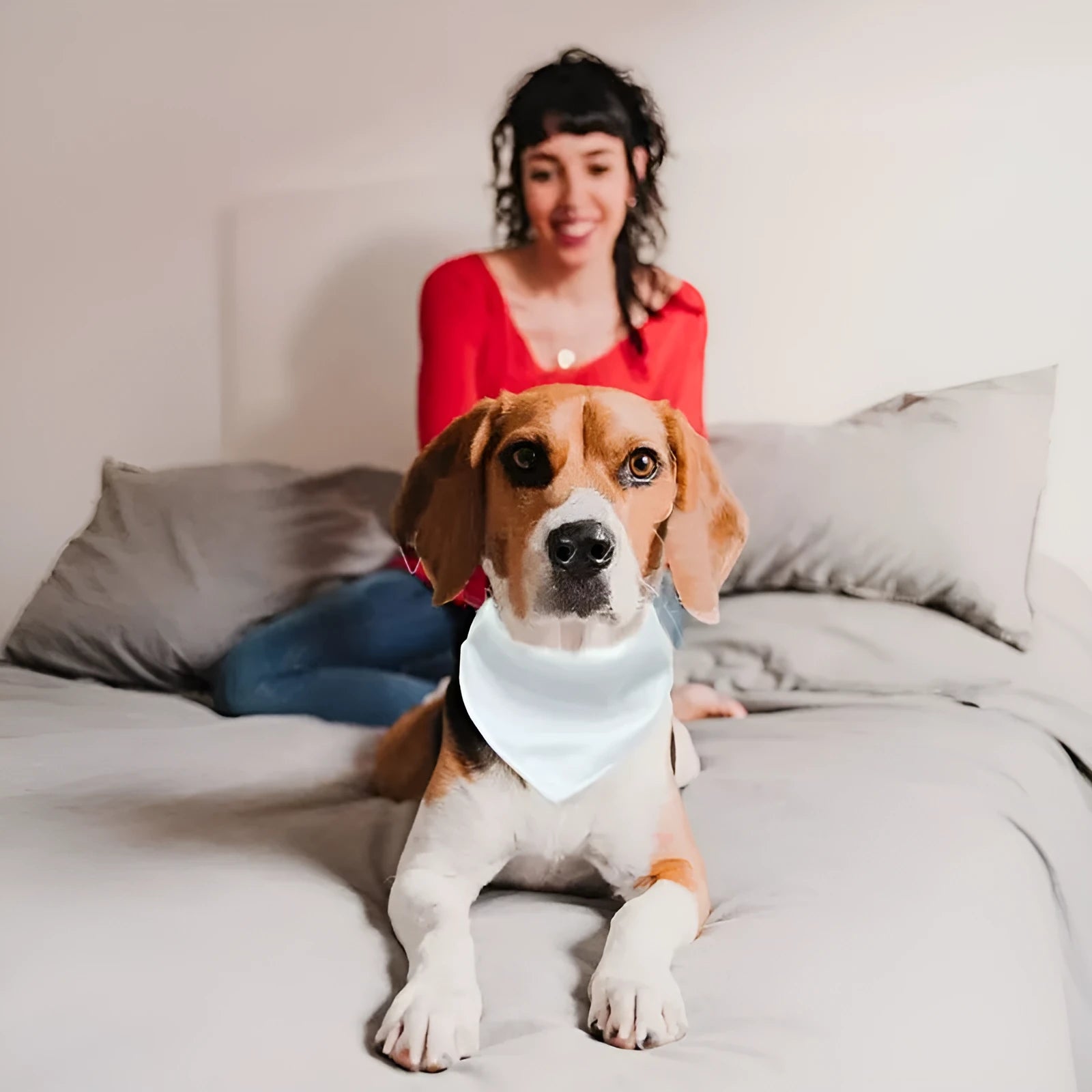 Blank white polyester dog scarf shown flat with dimensions for four size options available for thermal transfer customisation
