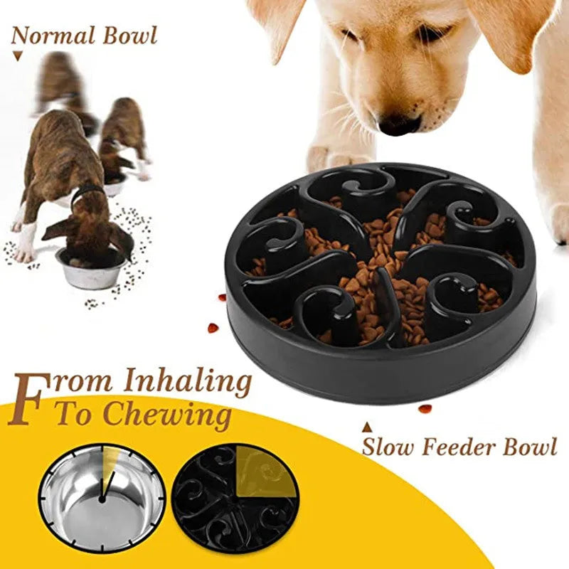 Colourful eco dog slow feeder bowl with maze pattern and non-slip base for large and small dogs