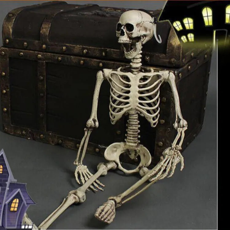 170cm tall plastic skeleton prop with detailed skull displayed upright