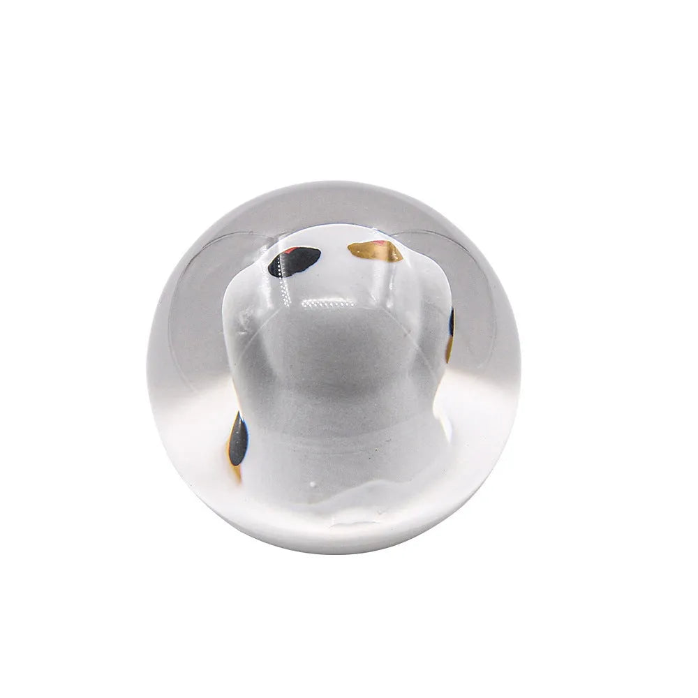 JDM Lucky Cat acrylic gear head with three metal adapters on a grey background