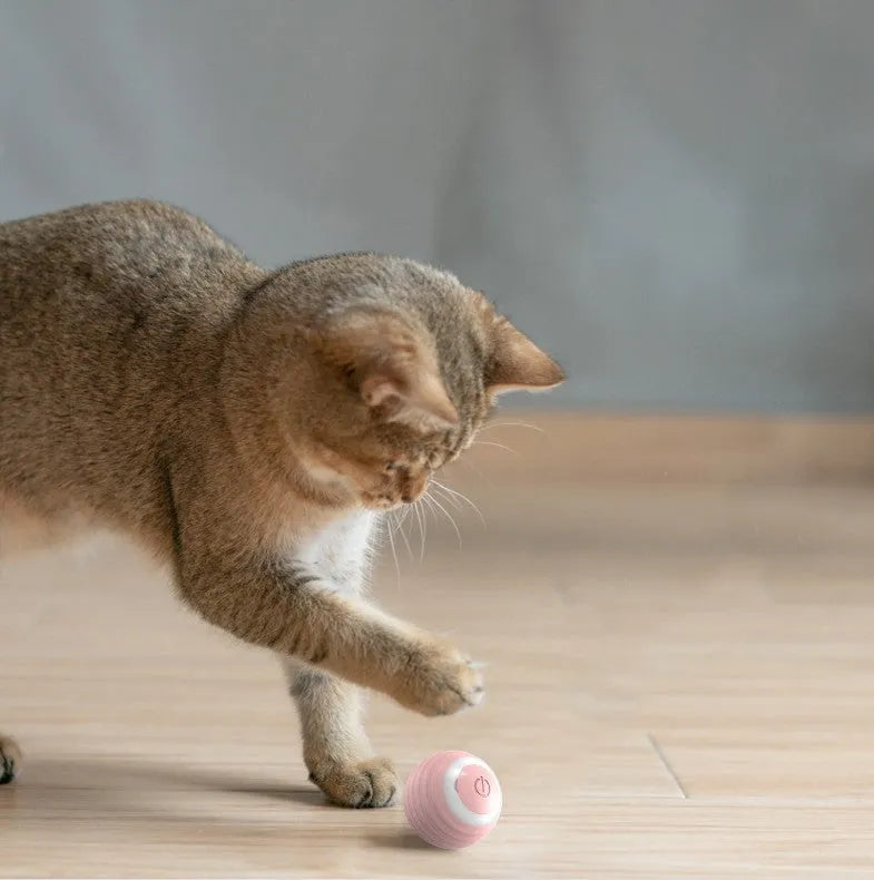 Blue and pink automatic rechargeable moving ball cat toy on a floor.