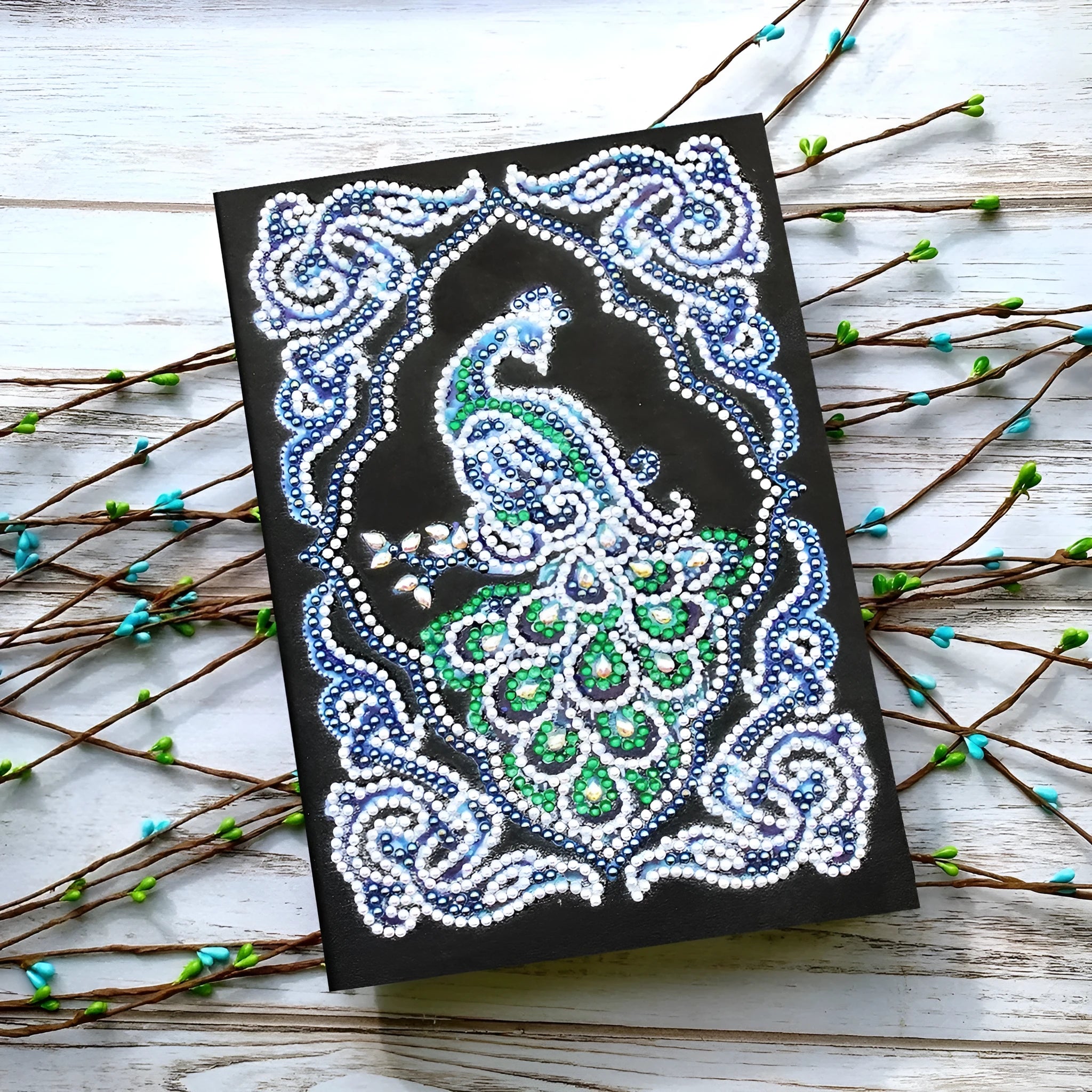 Black A5 hardcover Peacock Beauty journal open showing diamond painting canvas and organised drills in clear OPP bags.