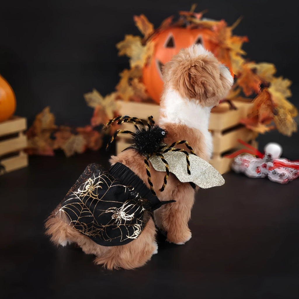 Halloween dog costume suit in polyester fabric shown on a pet, available in sizes small, medium, large, and extra large.