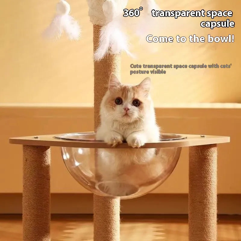 Wooden cat climbing frame with integrated space capsule pet bed in natural wood colour