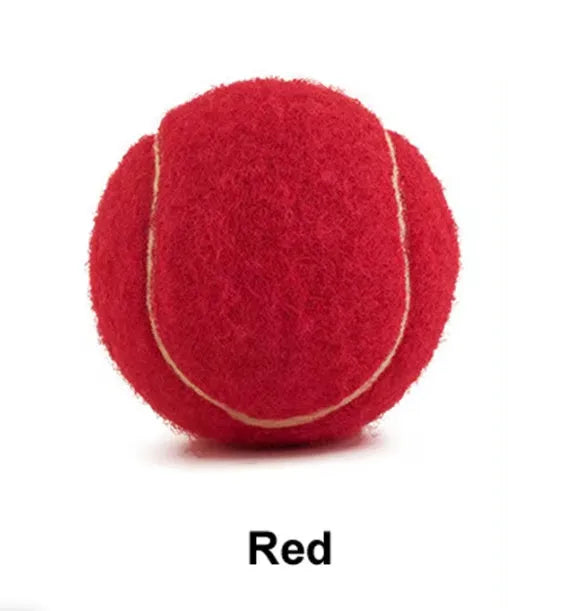 Bright pink, blue, yellow, green, and orange 6.3cm rubber tennis balls for dogs on grass.
