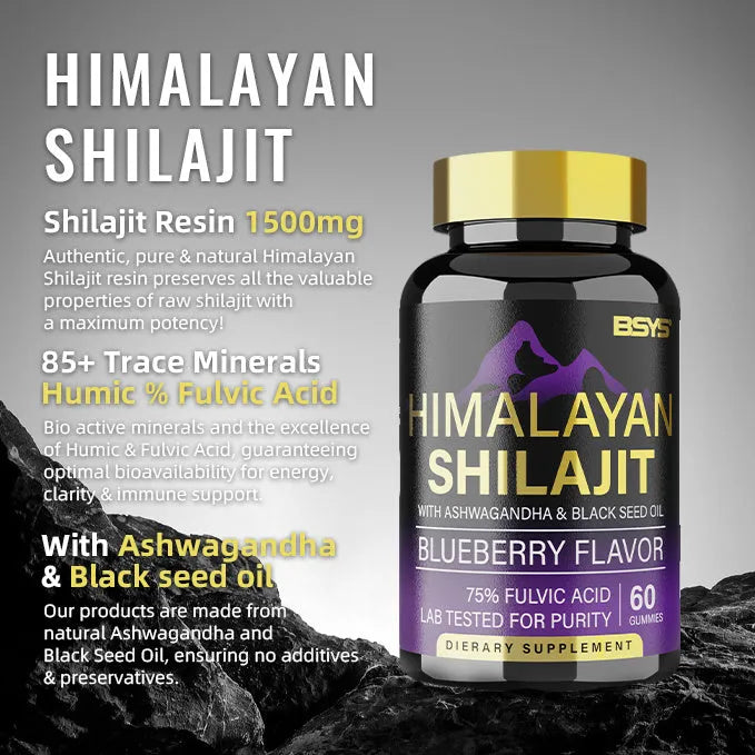 BSYS Shilajit Gummies 60 count bottle dietary supplement for energy and vitality