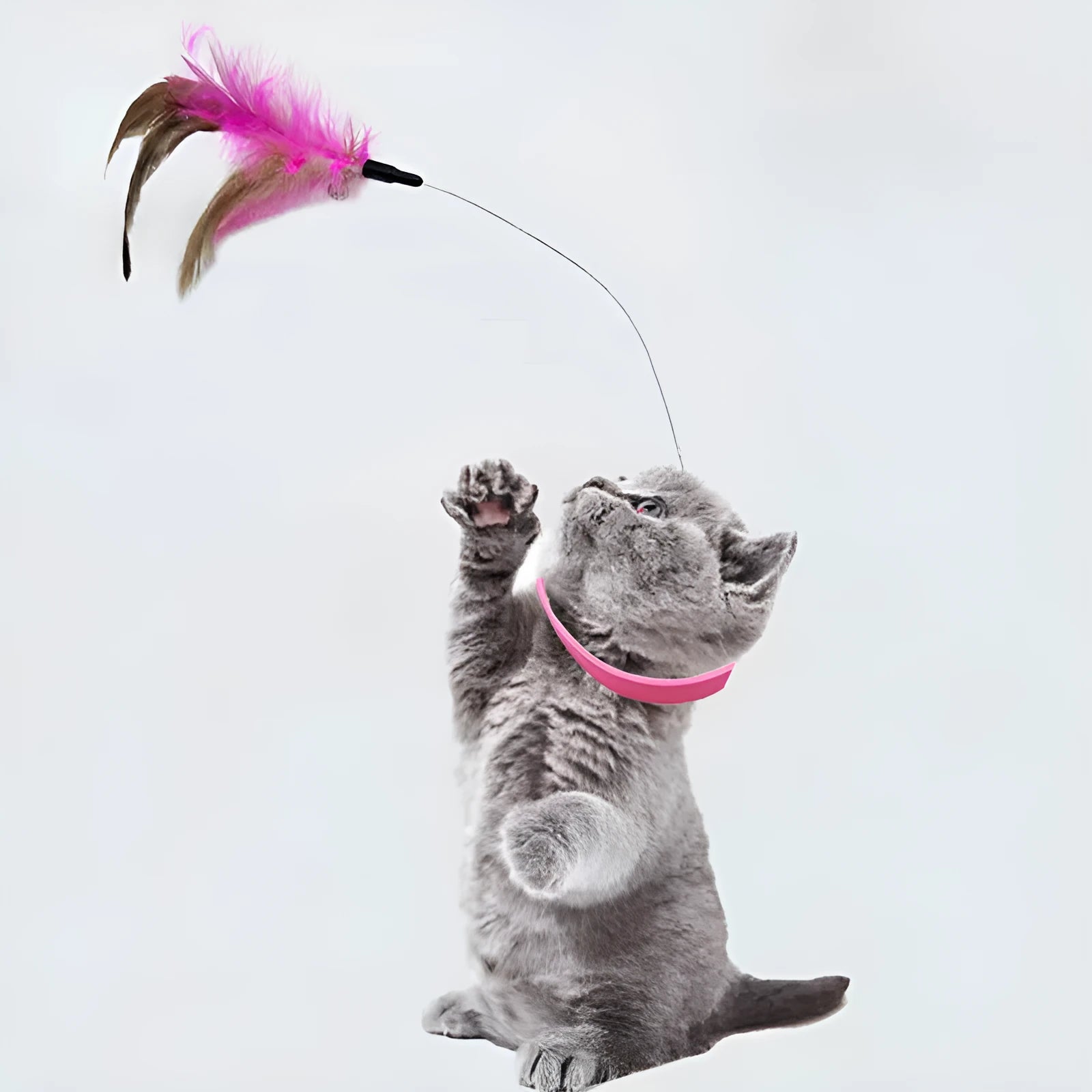 Blue adjustable cat collar with attached silicone teasing wand, dangling feathers, and bell