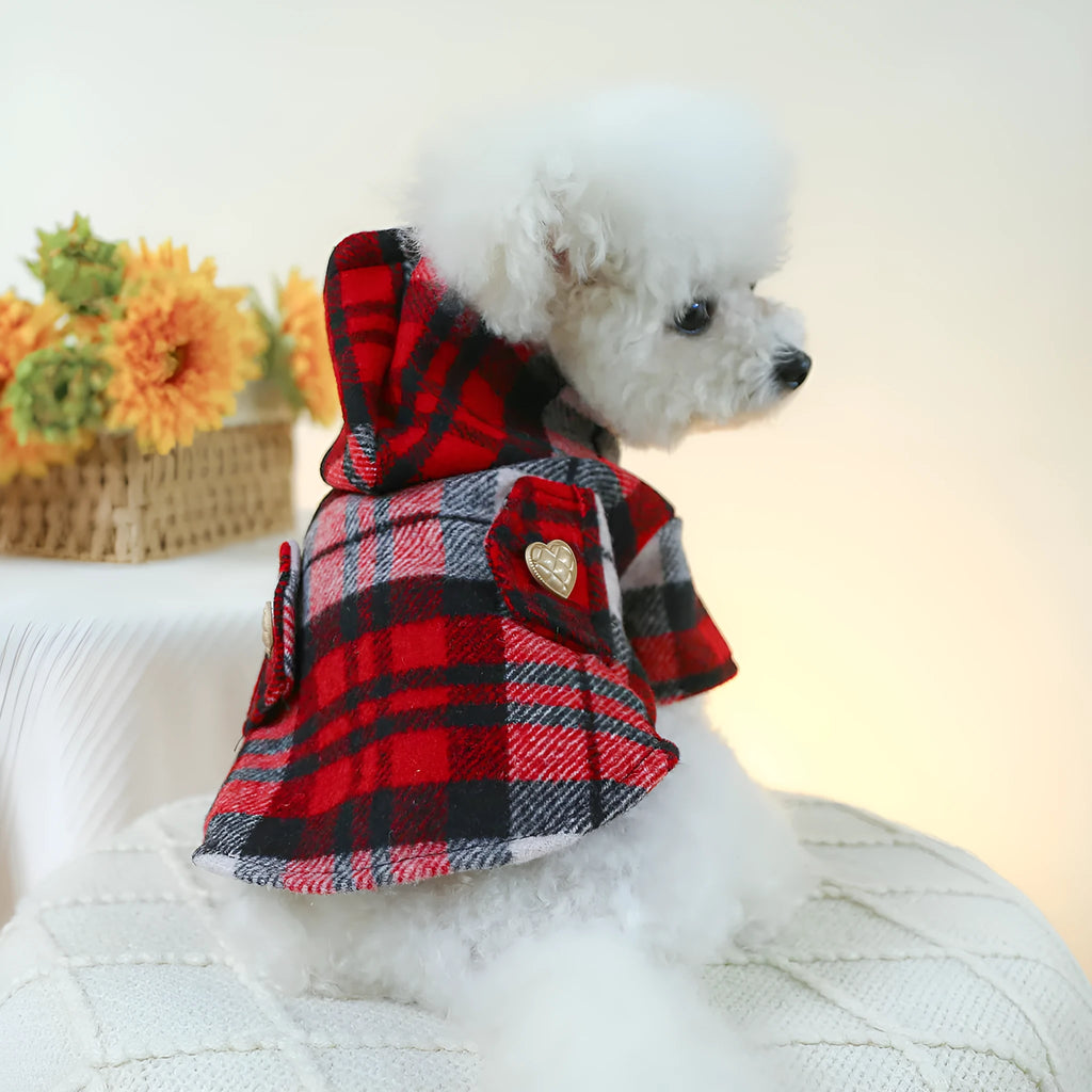 Red plaid dog trench coat on a medium-sized dog, showing the structured collar and classic trench design for winter.