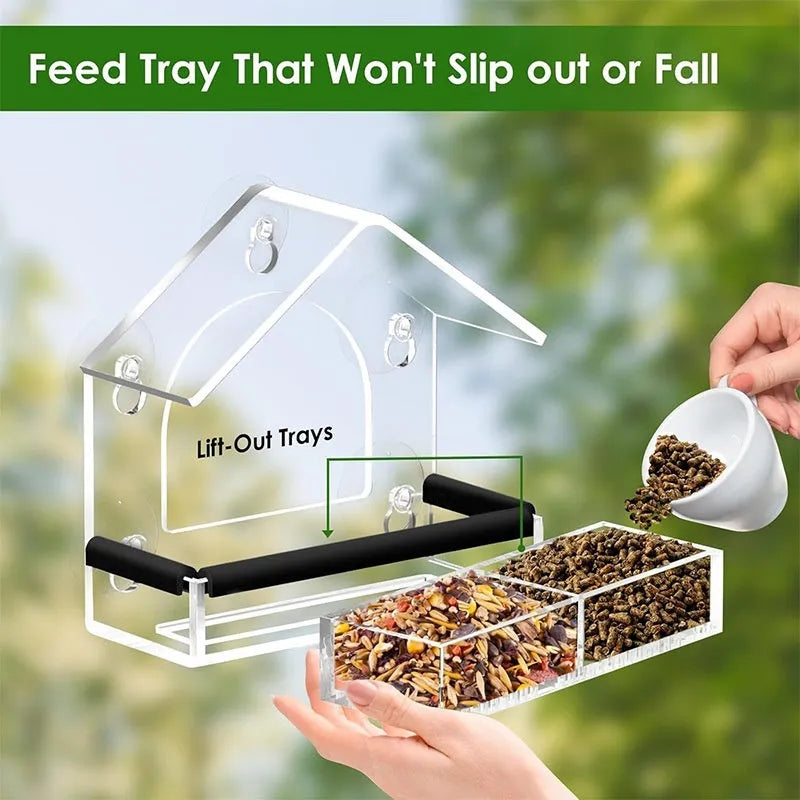 Transparent acrylic wall-mounted bird feeder with single feeding port and clear view of interior