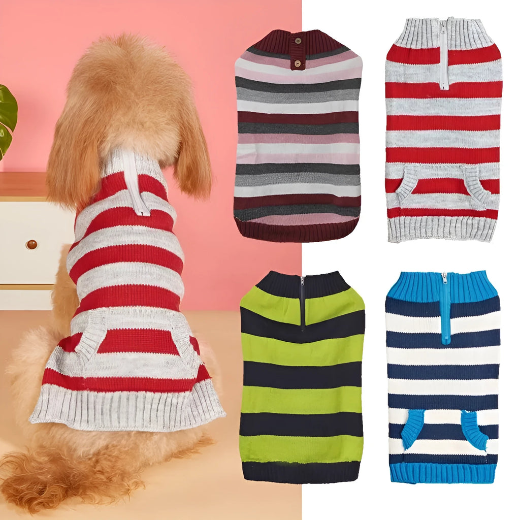 Grey dog jumper with contrasting colour trim, horizontal front zipper, and button-secured chest pocket