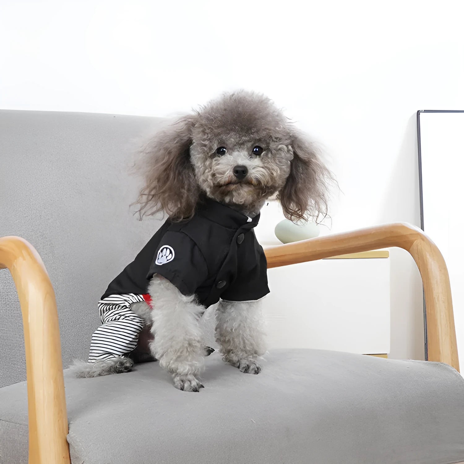 A poodle wearing thin cotton clothing, available as a skirt or four-legged pants in sizes S, M, L, XL.