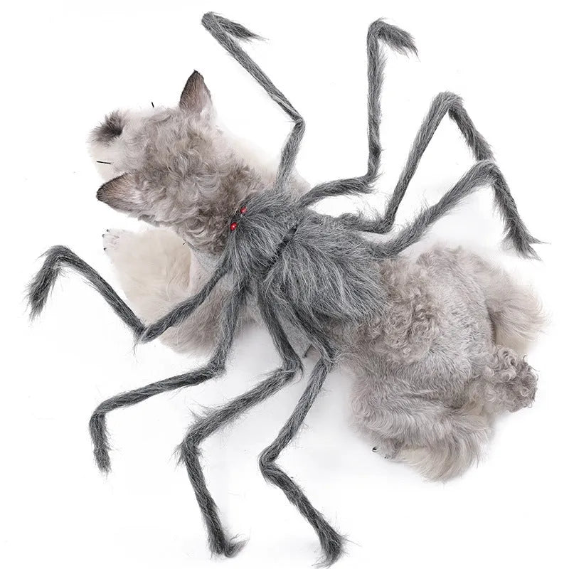 Grey, brown, and black with purple big spider costume for a dog or cat on a white background.