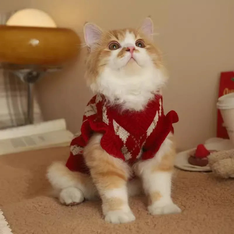 Red cat sweater with rhombic cherry embroidery, showing front view of autumn winter pet clothing